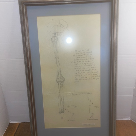 Framed Anatomy Art Spine Replaced With Arm Bone 21” x 13” Interesting Piece - Picture 2 of 9